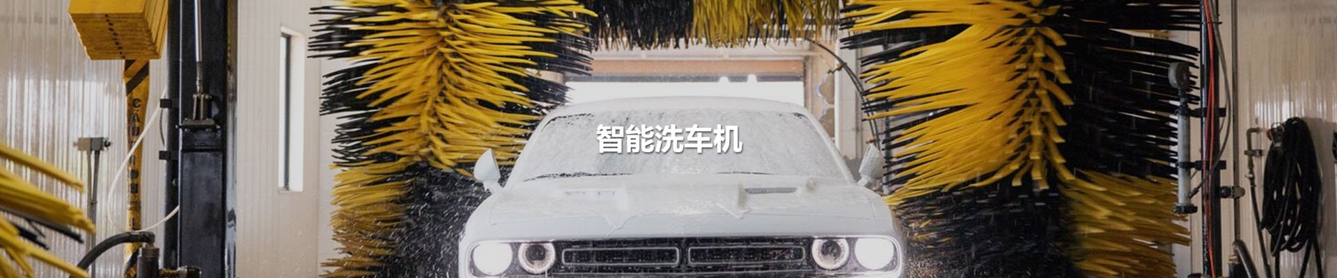 rb88随行版_首页官网入口