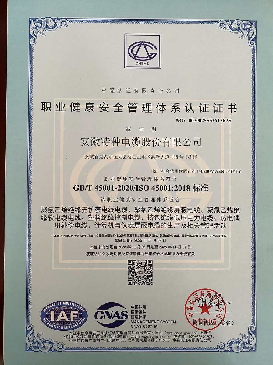 职业康健安 全治理系统认证证书中文版